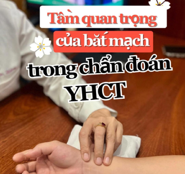 Tầm quan trọng của bắt mạch trong chẩn đoán Y Học Cổ Truyền